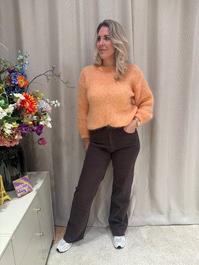 Susan - Jeans Queen Hearts glitter - bruin